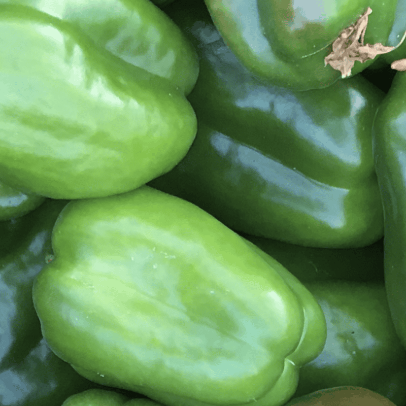 Pimento Verde