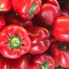 Pimento Vermelho